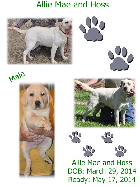 Allie Mae and Hoss