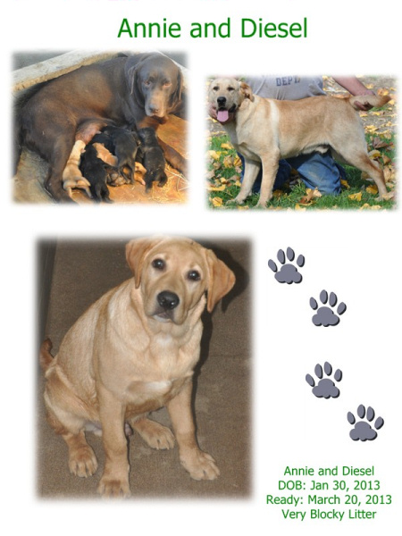 Annie and Diesel