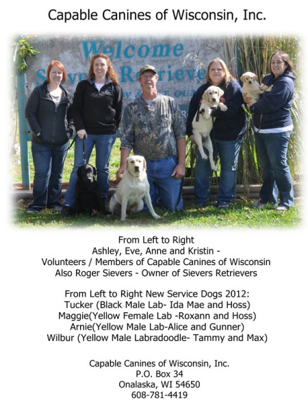 Service Dogs