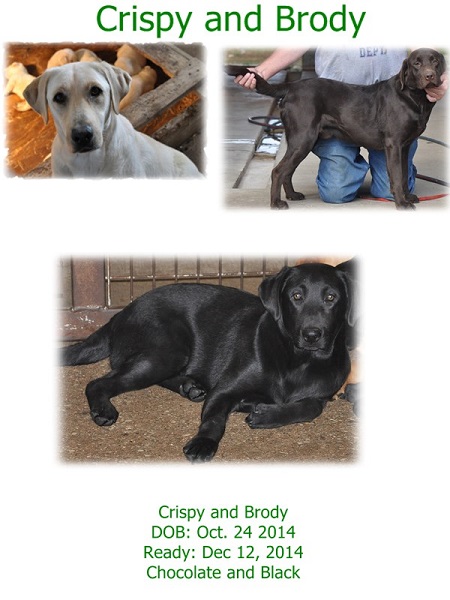 Crispy and Brody
