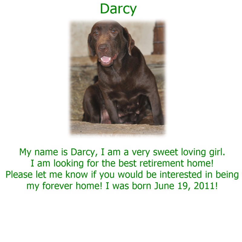 darcy