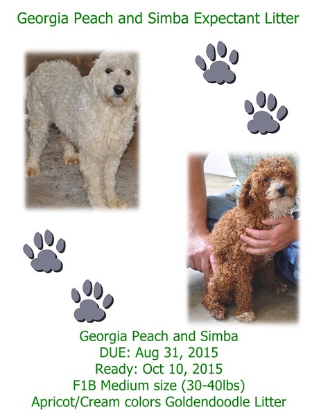 Georgia and Simba
