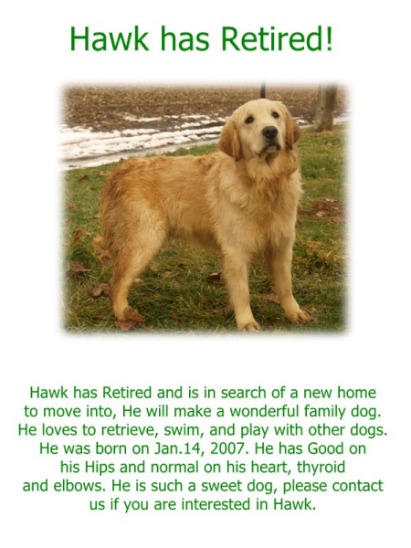 Hawk,