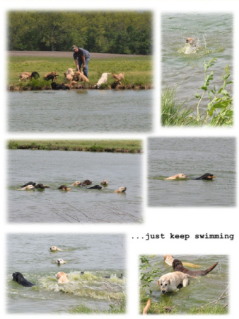 Pond,