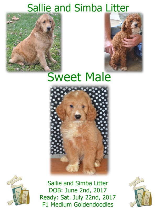 sallie