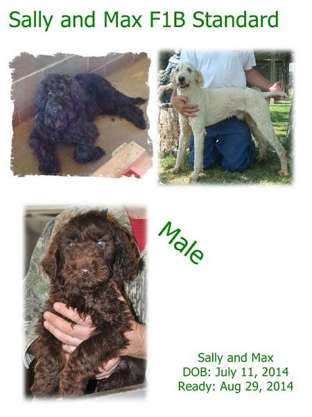 Sally and Max
