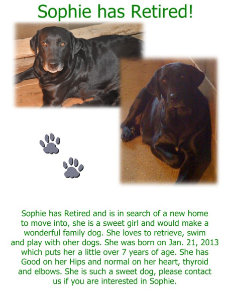 Sophie,